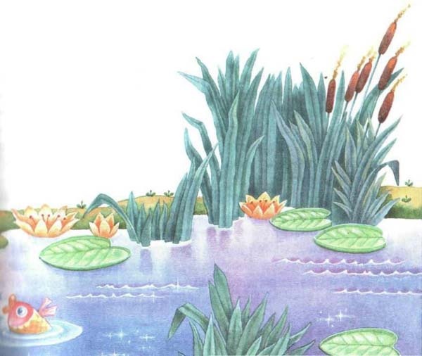 Иллюстрация к книге — Хербе Большая Шляпа [i_012.jpg]