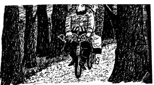 Иллюстрация к книге — Разбойник Хотценплотц и хрустальный шар [i_022.jpg]