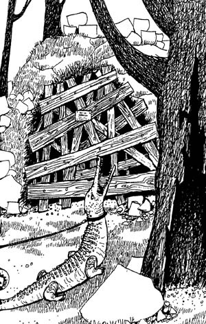 Иллюстрация к книге — Разбойник Хотценплотц и хрустальный шар [i_037.jpg]