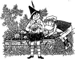 Иллюстрация к книге — Разбойник Хотценплотц и муравейник с начинкой [i_012.jpg]