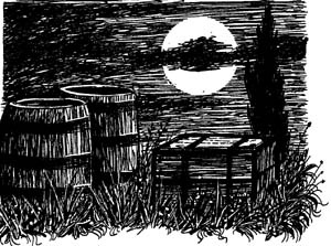 Иллюстрация к книге — Разбойник Хотценплотц и муравейник с начинкой [i_018.jpg]