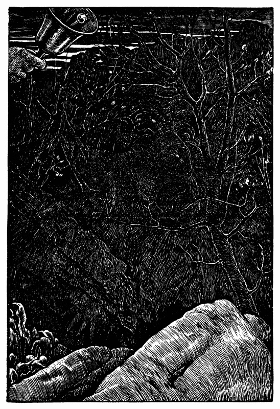 Иллюстрация к книге — Охота на Снарка [i_011.jpg]