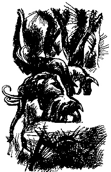 Иллюстрация к книге — Робинзоны Космоса [rk7.jpg]