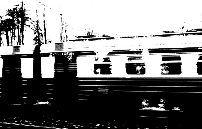 Иллюстрация к книге — Дети пустоты [i_011.jpg]