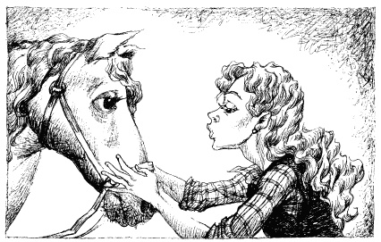 Иллюстрация к книге — Волшебный витраж [pict13.jpg]