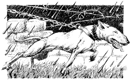 Иллюстрация к книге — Волшебный витраж [pict16.jpg]