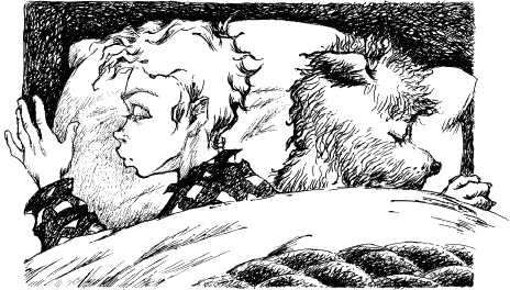 Иллюстрация к книге — Волшебный витраж [pict20.jpg]