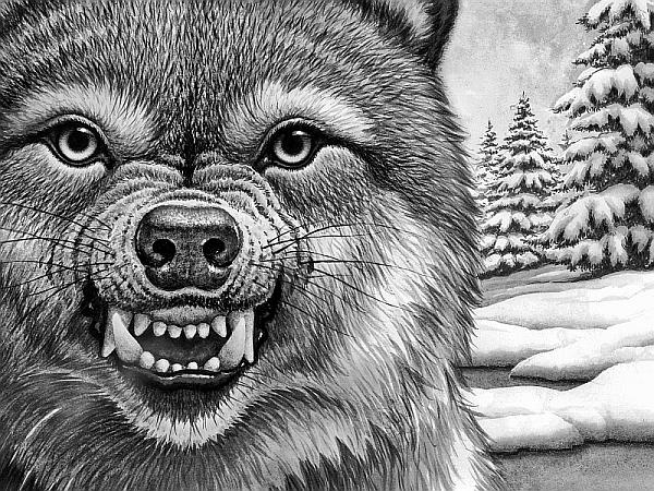 Иллюстрация к книге — Ледяной [i_004.jpg]