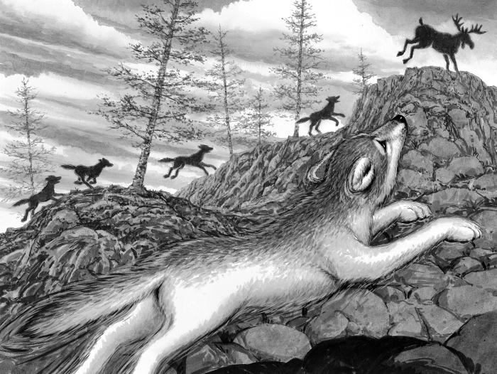 Иллюстрация к книге — Тень [p1.jpg]