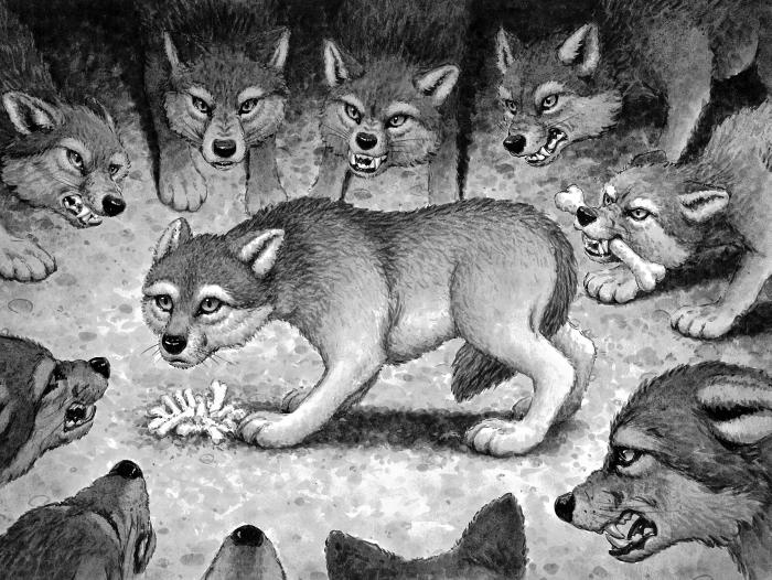 Иллюстрация к книге — Тень [p3.jpg]