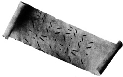 Иллюстрация к книге — Грегор и код когтя [i_001.jpg]