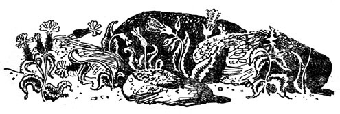 Иллюстрация к книге — Преданье старины глубокой [i_053.jpg]