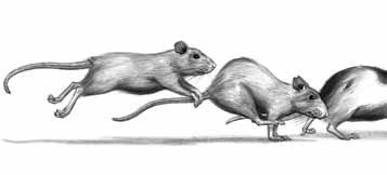 Иллюстрация к книге — Дневник профессора Гаргульи [i_003.jpg]