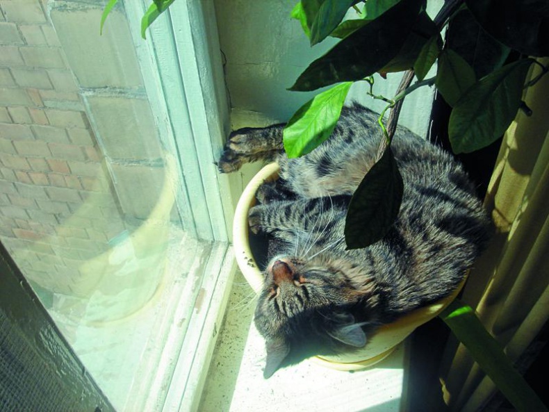 Иллюстрация к книге — Без любви жить нельзя [i_007.jpg]