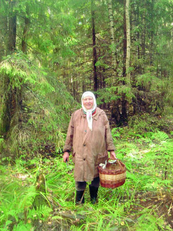 Иллюстрация к книге — Без любви жить нельзя [i_008.jpg]