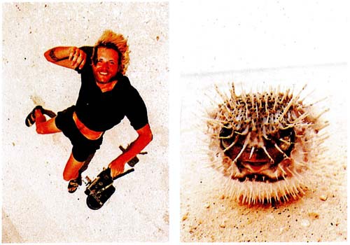 Иллюстрация к книге — У [i_014.jpg]