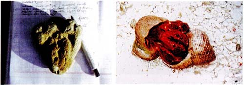 Иллюстрация к книге — У [i_021.jpg]