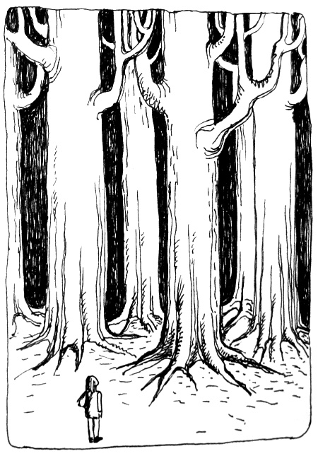 Иллюстрация к книге — Река, текущая вспять [i_011.jpg]