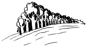 Иллюстрация к книге — Река, текущая вспять [i_017.jpg]