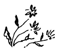 Иллюстрация к книге — Река, текущая вспять [i_018.jpg]