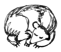 Иллюстрация к книге — Река, текущая вспять [i_039.jpg]