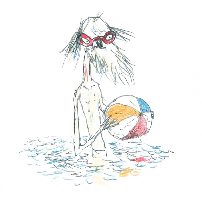 Иллюстрация к книге — Доктор Проктор и его машина времени [i_052.jpg]