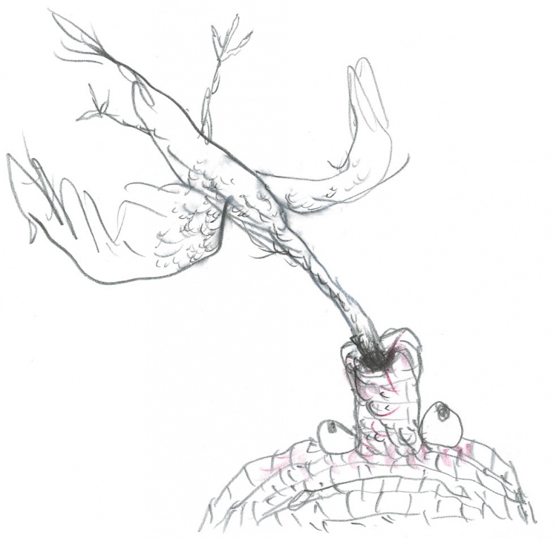 Иллюстрация к книге — Доктор Проктор и конец света (как бы) [i_013.jpg]