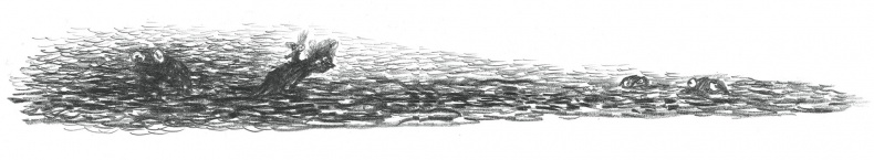 Иллюстрация к книге — Доктор Проктор и конец света (как бы) [i_033.jpg]