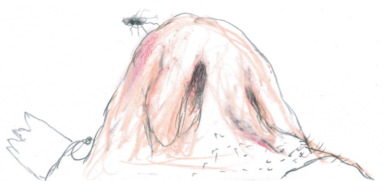 Иллюстрация к книге — Доктор Проктор и конец света (как бы) [i_047.jpg]