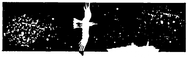 Иллюстрация к книге — Изобретение велосипеда [pic18.jpg]