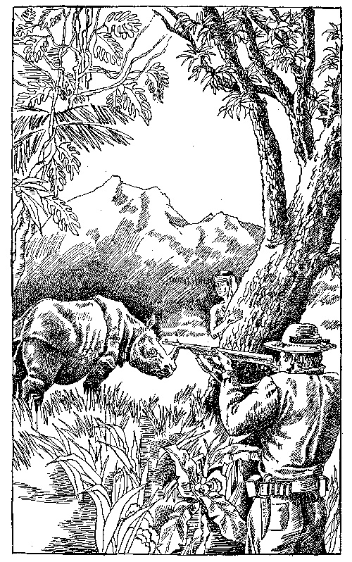 Иллюстрация к книге — В стране райской птицы. Амок [i_010.jpg]