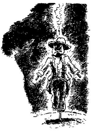 Иллюстрация к книге — Чучело и его слуга [_002.jpg]