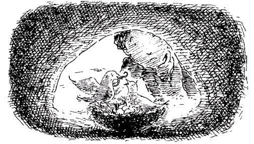 Иллюстрация к книге — Чучело и его слуга [_043.jpg]