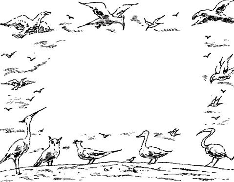 Иллюстрация к книге — Чучело и его слуга [_047.jpg]