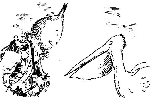 Иллюстрация к книге — Чучело и его слуга [_051.jpg]