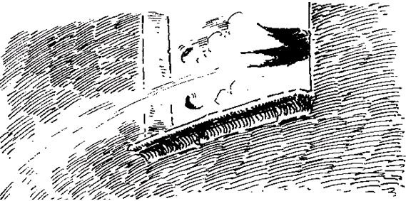 Иллюстрация к книге — Чучело и его слуга [_063.jpg]