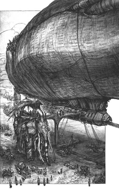 Иллюстрация к книге — Бегемот [i_012.jpg]