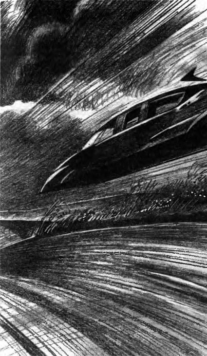 Иллюстрация к книге — Санитарный инспектор [pic_5.jpg]