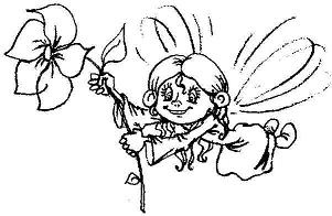 Иллюстрация к книге — В поисках волшебного камня [i_021.jpg]