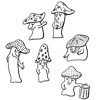 Иллюстрация к книге — Город святых и безумцев [i_007.jpg]