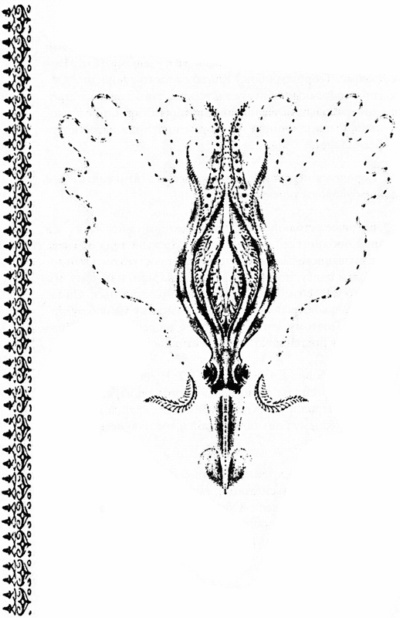 Иллюстрация к книге — Город святых и безумцев [i_014.jpg]