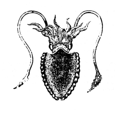 Иллюстрация к книге — Город святых и безумцев [i_017.jpg]