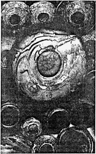 Иллюстрация к книге — Город святых и безумцев [i_026.jpg]