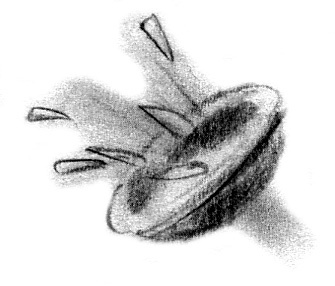 Иллюстрация к книге — Луноликой матери девы [i_006.jpg]