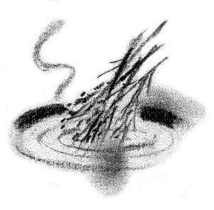 Иллюстрация к книге — Луноликой матери девы [i_008.jpg]