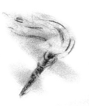 Иллюстрация к книге — Луноликой матери девы [i_010.jpg]