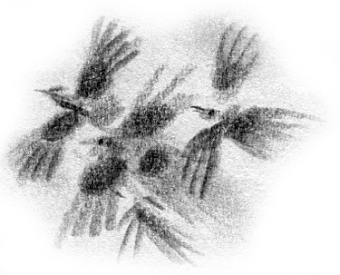 Иллюстрация к книге — Луноликой матери девы [i_028.jpg]