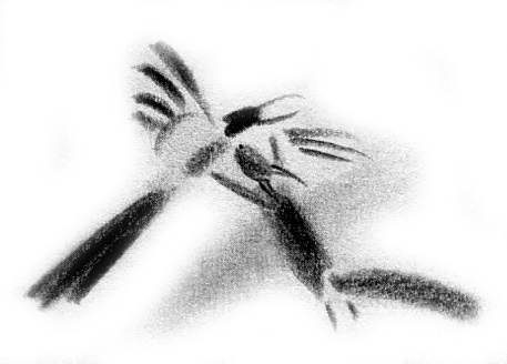 Иллюстрация к книге — Луноликой матери девы [i_032.jpg]