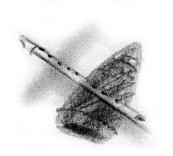 Иллюстрация к книге — Луноликой матери девы [i_034.jpg]