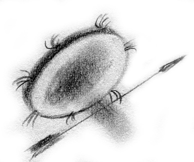 Иллюстрация к книге — Луноликой матери девы [i_040.jpg]